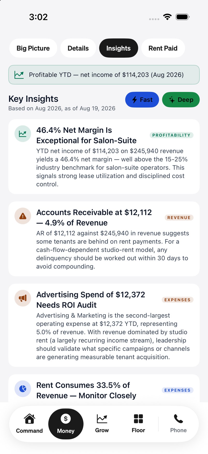 Money insights on an iPhone: the accountant's statements read and explained, one finding per card